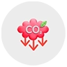 Carbon Credit