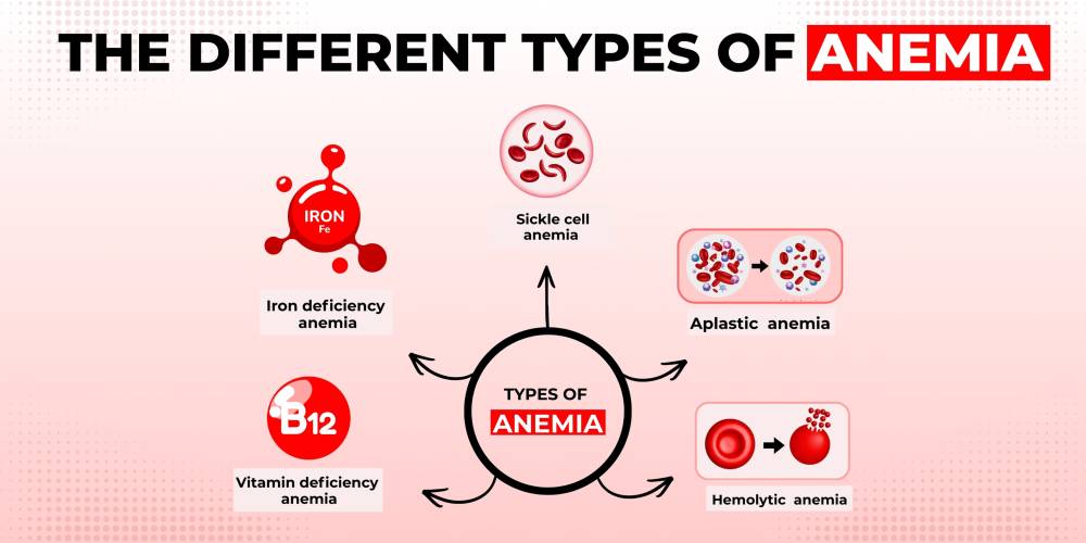 Diving Deeper: Exploring the Different Types of anemia