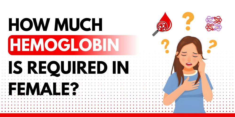 How Much Hemoglobin is Required in Female? Your Complete Guide (2026)